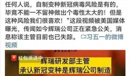 谁爆料的辉瑞病毒了啊视频,揭秘视频爆料背后的真相