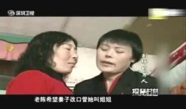 姐妹妻在线观看,穿越时空的姐妹情深，在线观看感动不已